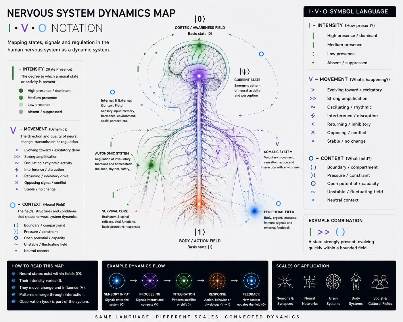 Nervous System Dynamics Map